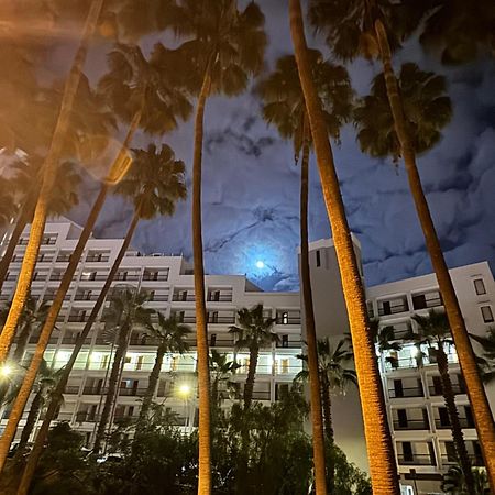 شقة Vina Del Mar Playa Feñabe المظهر الخارجي الصورة