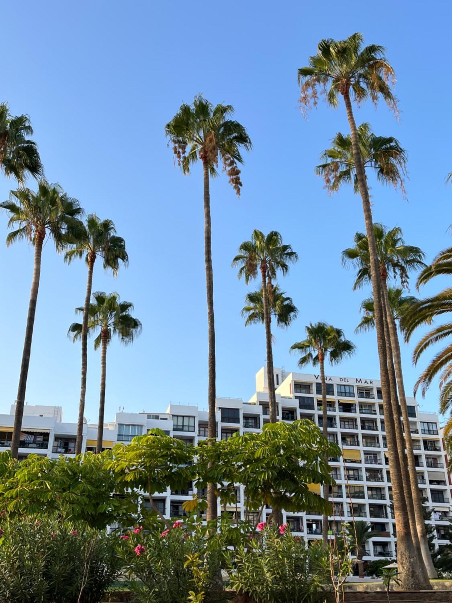 شقة Vina Del Mar Playa Feñabe المظهر الخارجي الصورة