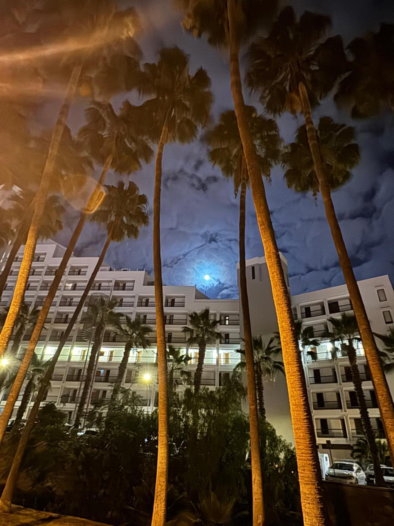 شقة Vina Del Mar Playa Feñabe المظهر الخارجي الصورة